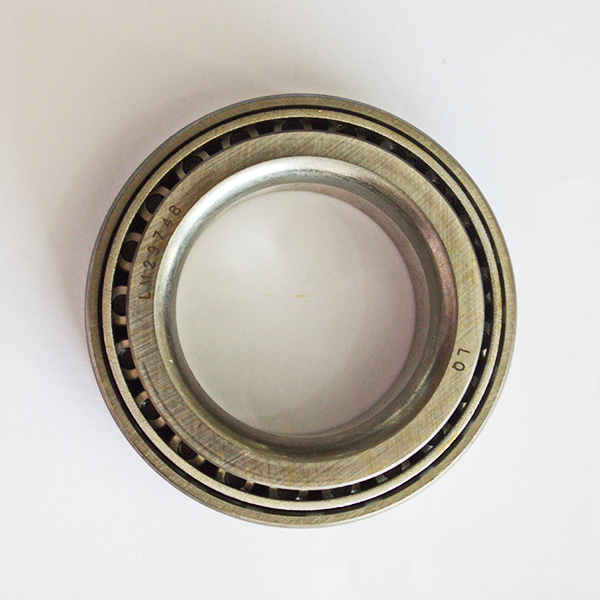 LM29748.jpg